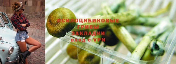 2c-b Волосово