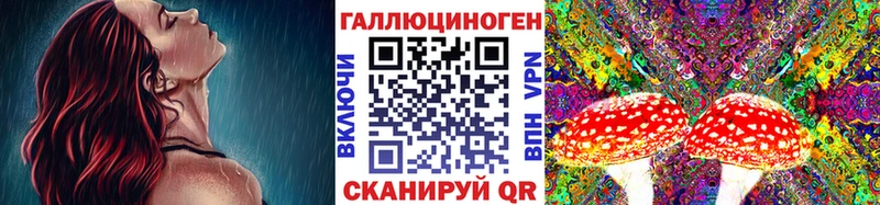 Галлюциногенные грибы Psilocybine cubensis  Евпатория 